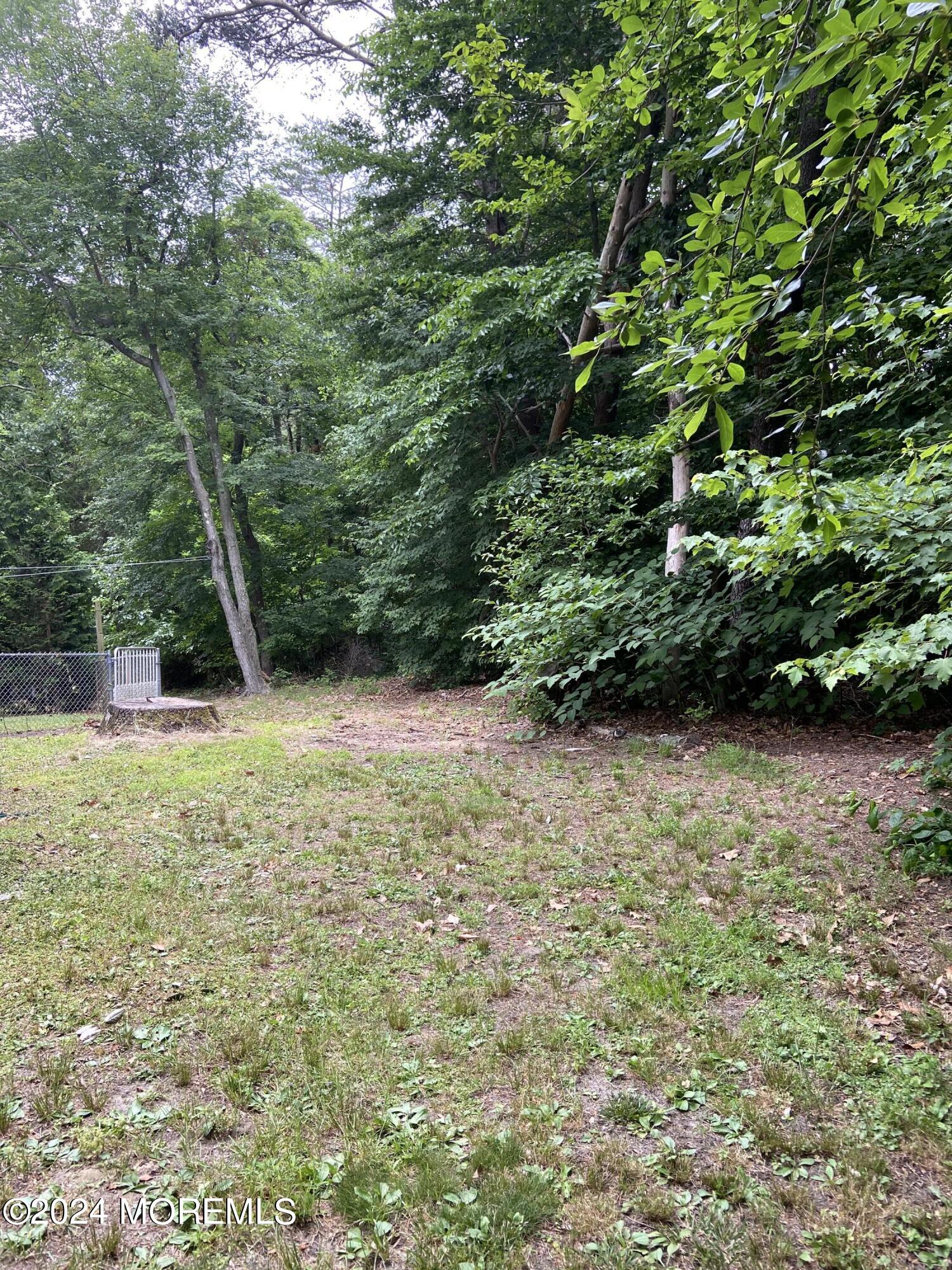 12 Main Street Cream Ridge, NJ 08514 - Photo 6 of 25 a view of a yard with potted plants and large trees