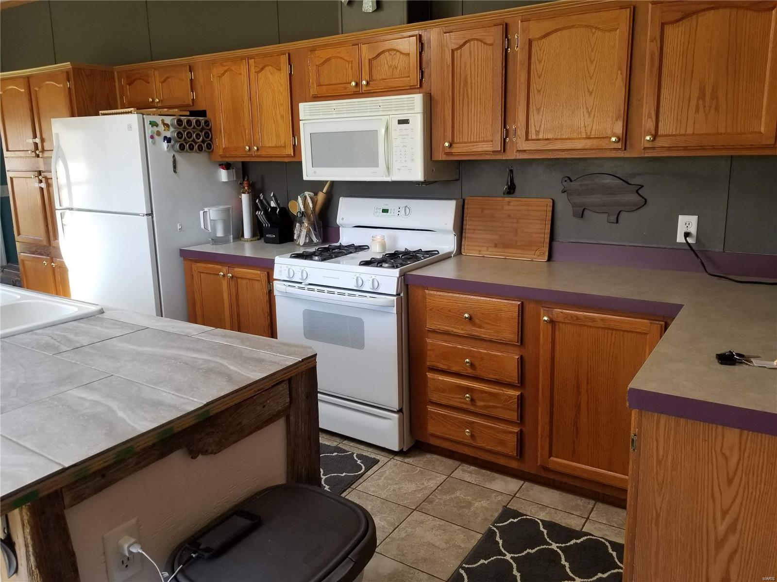 12195 Keyesport Road Pocahontas, IL 62275 - Photo 7 of 27