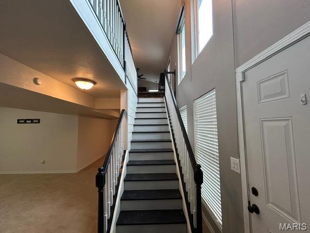 1351 Stone Mill Circle Arnold, MO 63010 - Photo 17 of 29