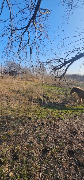 1851 FM 339 Mount Calm, TX 76673 - Photo 13 of 16 a view of a yard