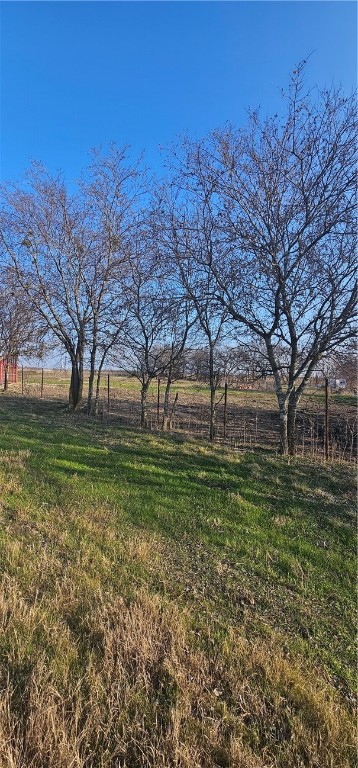 1851 FM 339 Mount Calm, TX 76673 - Photo 4 of 16 a view of yard with tree