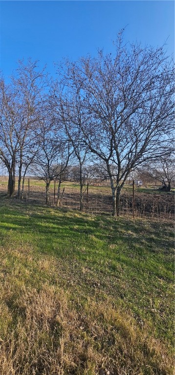 1851 FM 339 Mount Calm, TX 76673 - Photo 5 of 16 a view of a garden with a tree