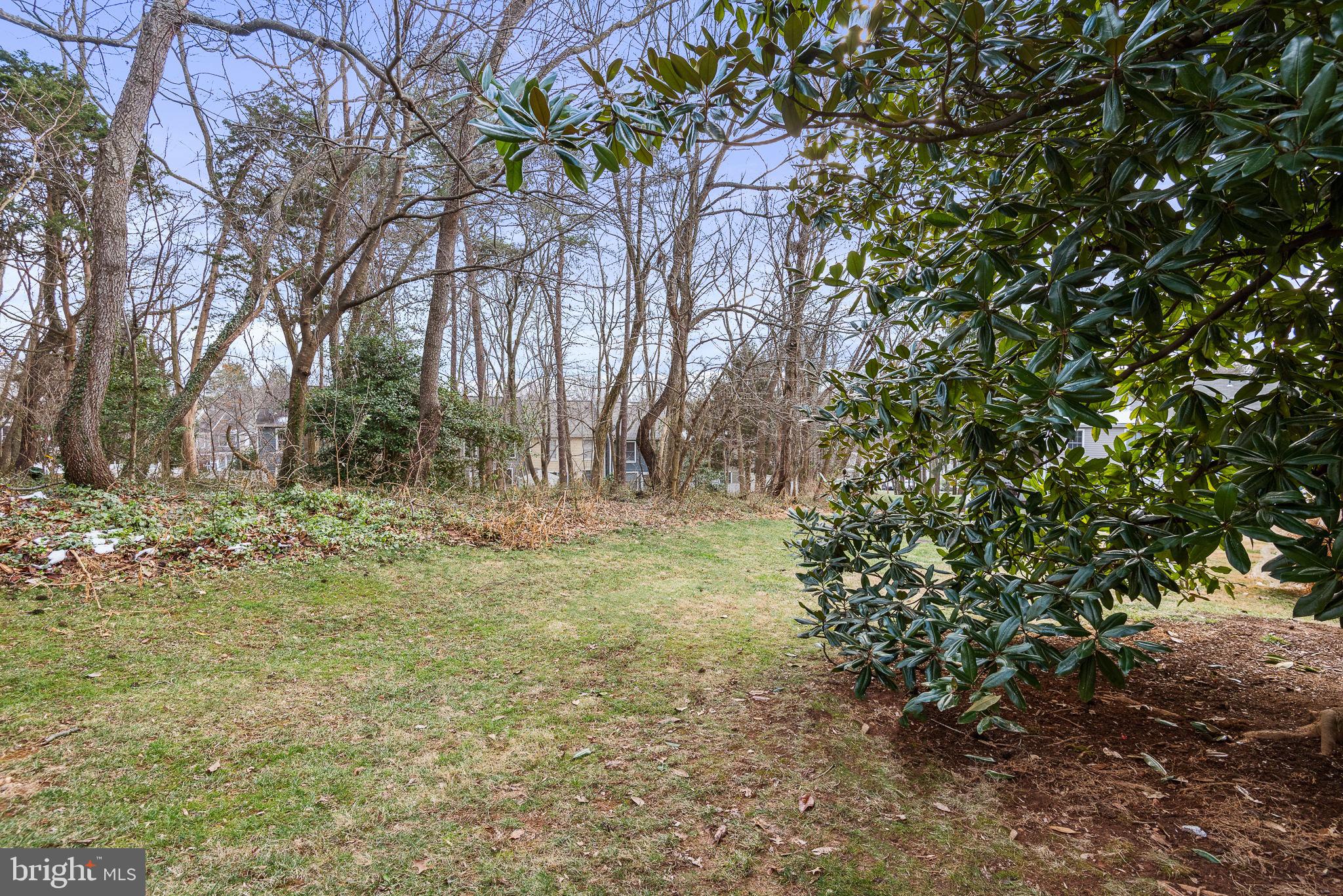 1657 Poplar Grove Drive Reston, VA 20194 - Photo 26 of 26