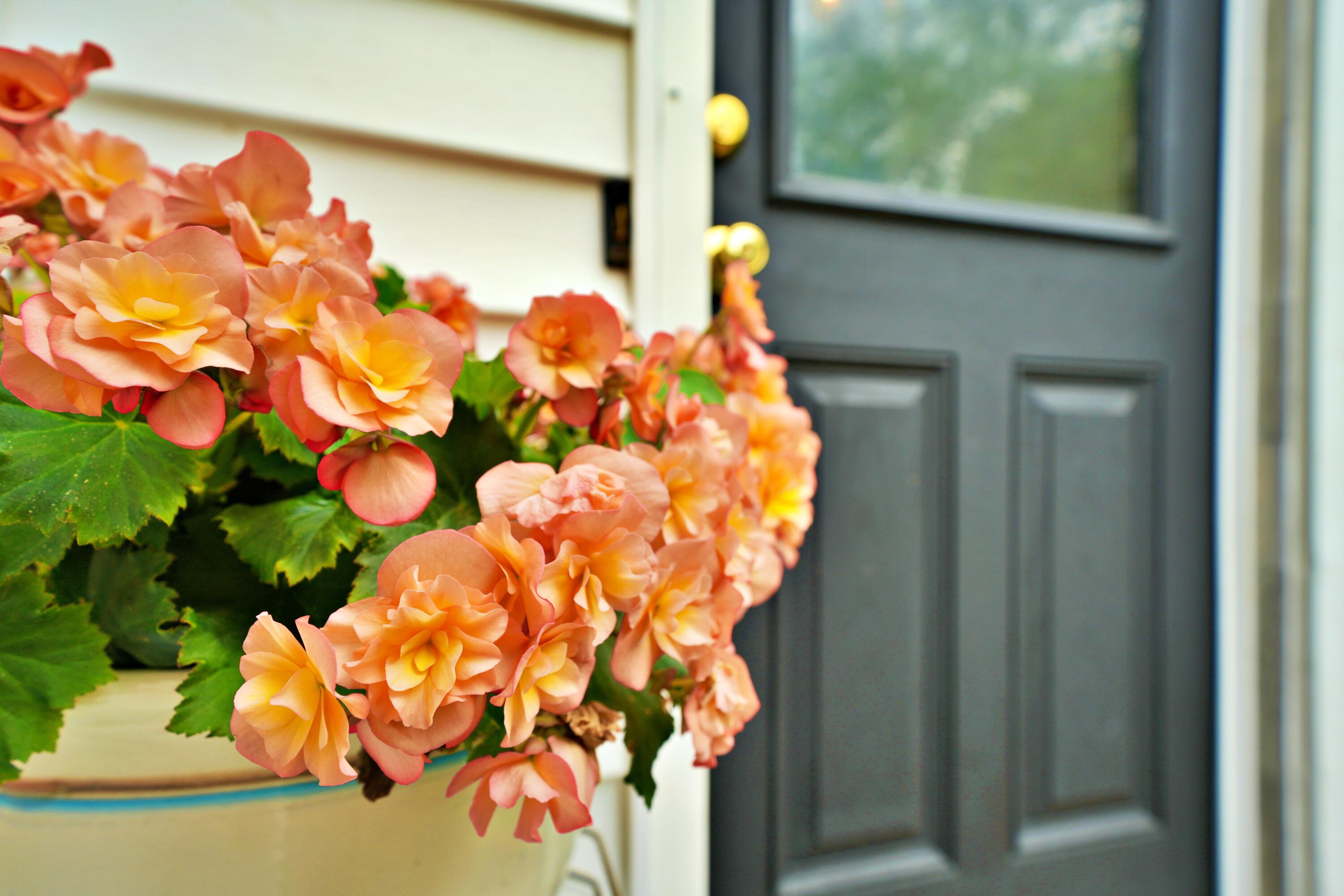 84 14th Street Bangor, ME 04401 - Photo 8 of 34 DSC03057