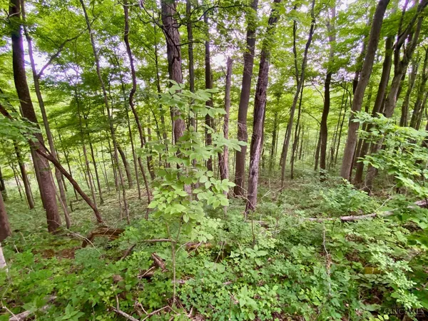 $159,999 | 85 Pfeifer Road, Manchester, OH 45144