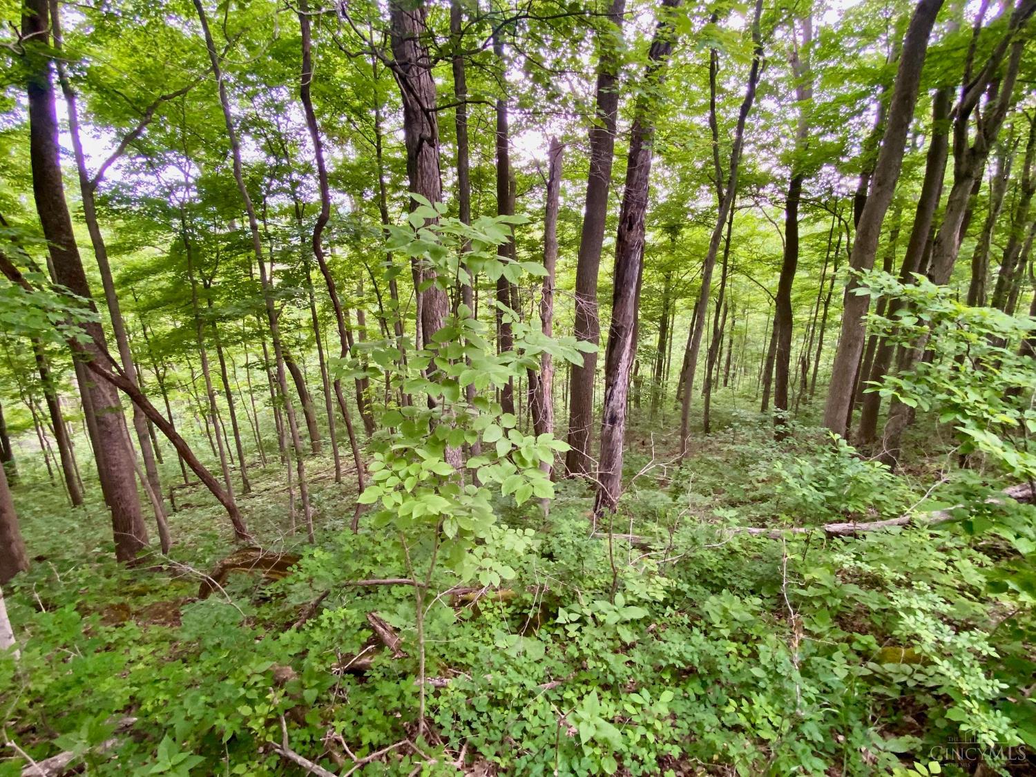 85 Pfeifer Road Manchester, OH 45144 - Photo 1 of 15