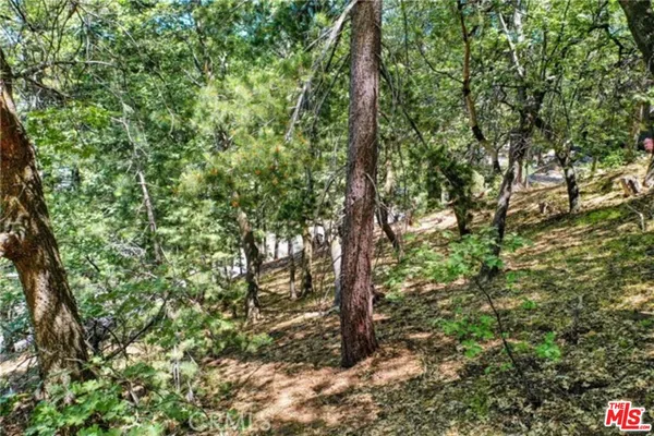 $65,000 | 28270 Arbon Lane, Lake Arrowhead, CA 92352