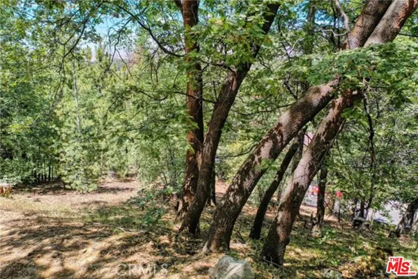 $65,000 | 28270 Arbon Lane, Lake Arrowhead, CA 92352