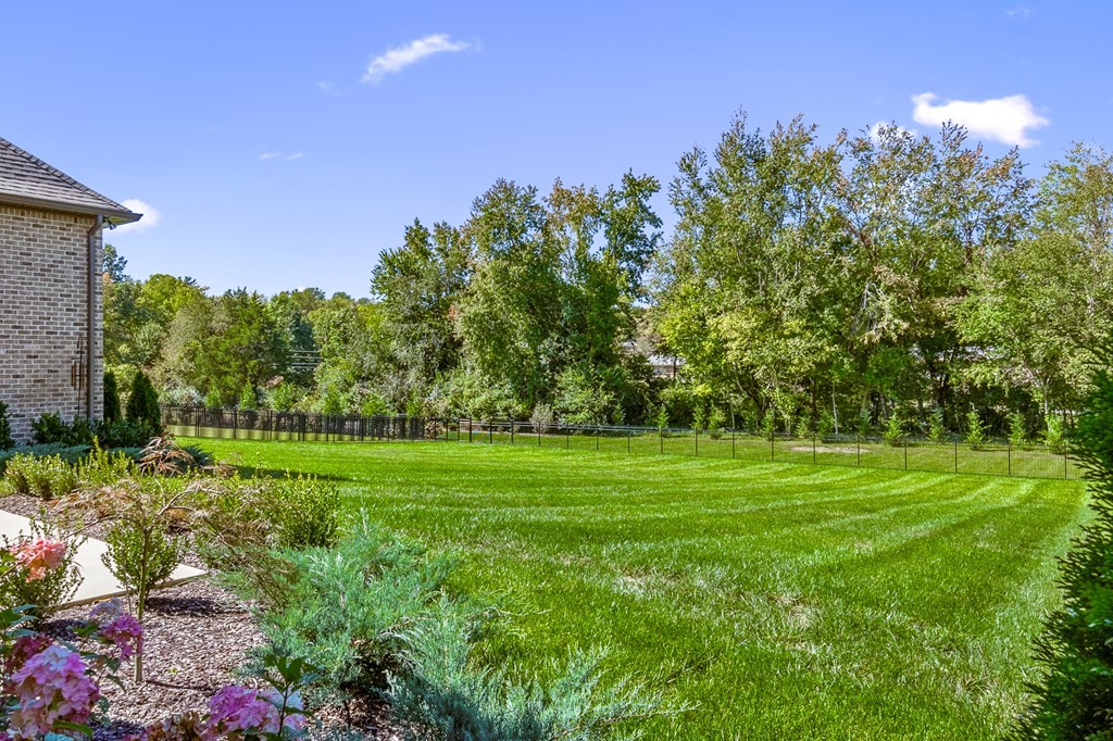 504 McCulley Road Cookeville, TN 38506 - Photo 14 of 70 a view of a grassy field with trees