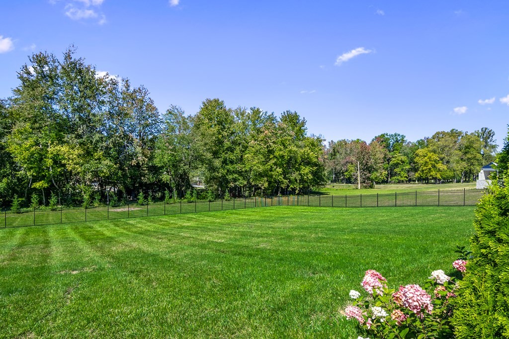 504 McCulley Road Cookeville, TN 38506 - Photo 15 of 70 a yard with lots of green space and trees in the back