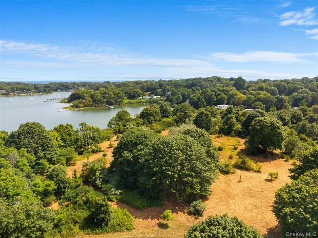 a view of a lake with a city