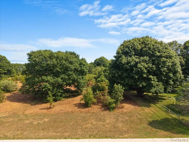 a view of a lake with a mountain in the background