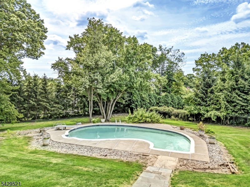 136 Carlough Road Upper Saddle River, NJ 07458 - Photo 31 of 32 a view of a swimming pool with a yard