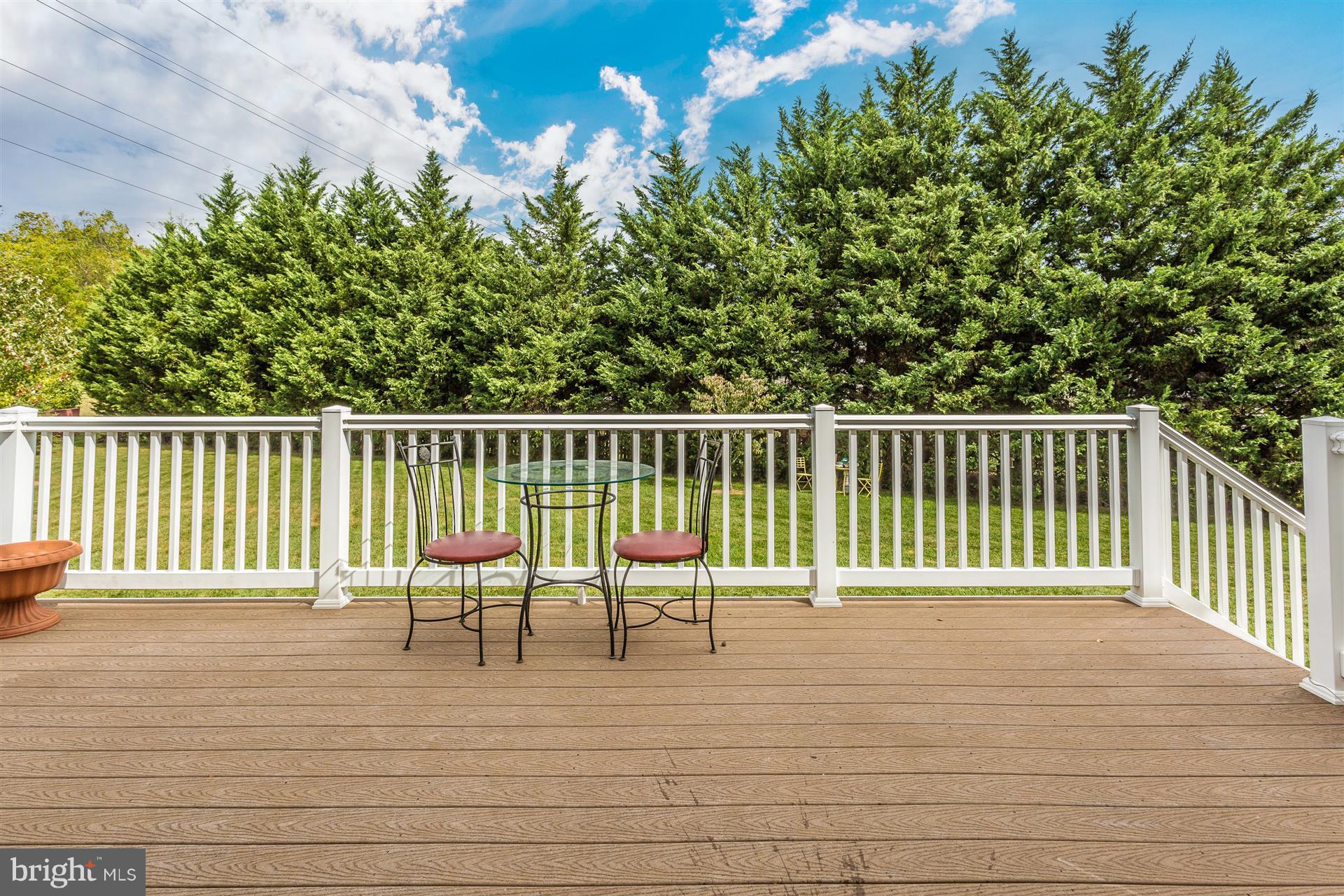 5415 Chillingham Place Frederick, MD 21703 - Photo 25 of 30 Exterior (Rear)