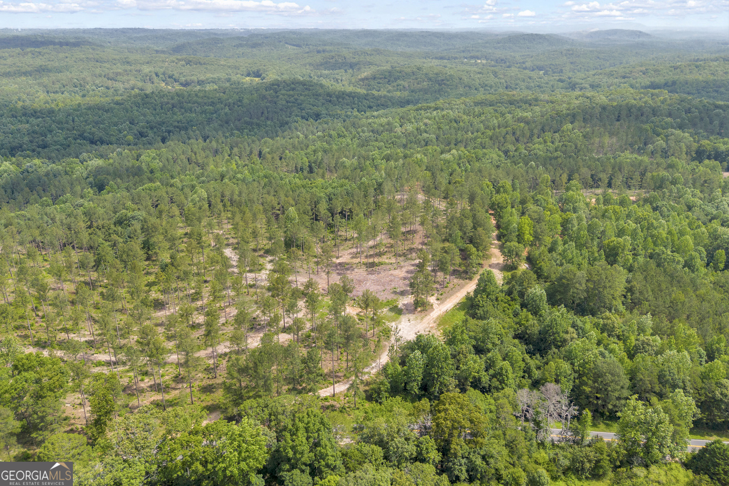 0 Mt Sinai Road, Unit LOT 1 Lula, GA 30554 - Photo 8 of 67
