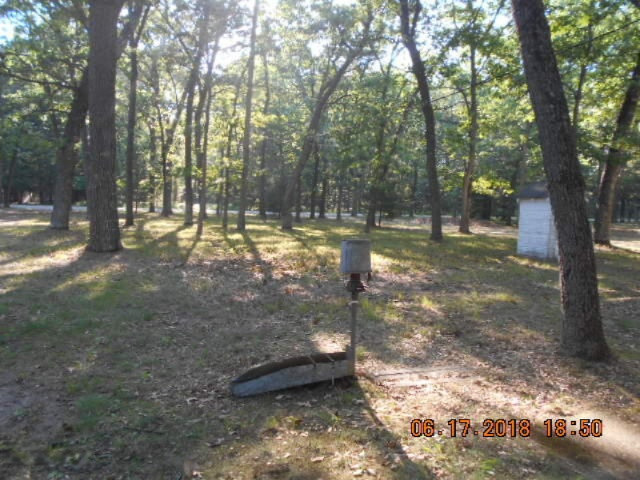 308 North Jackpine Road Fountain, MI 49410 - Photo 13 of 21 068