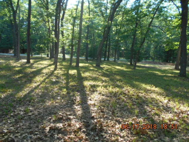 308 North Jackpine Road Fountain, MI 49410 - Photo 14 of 21 069