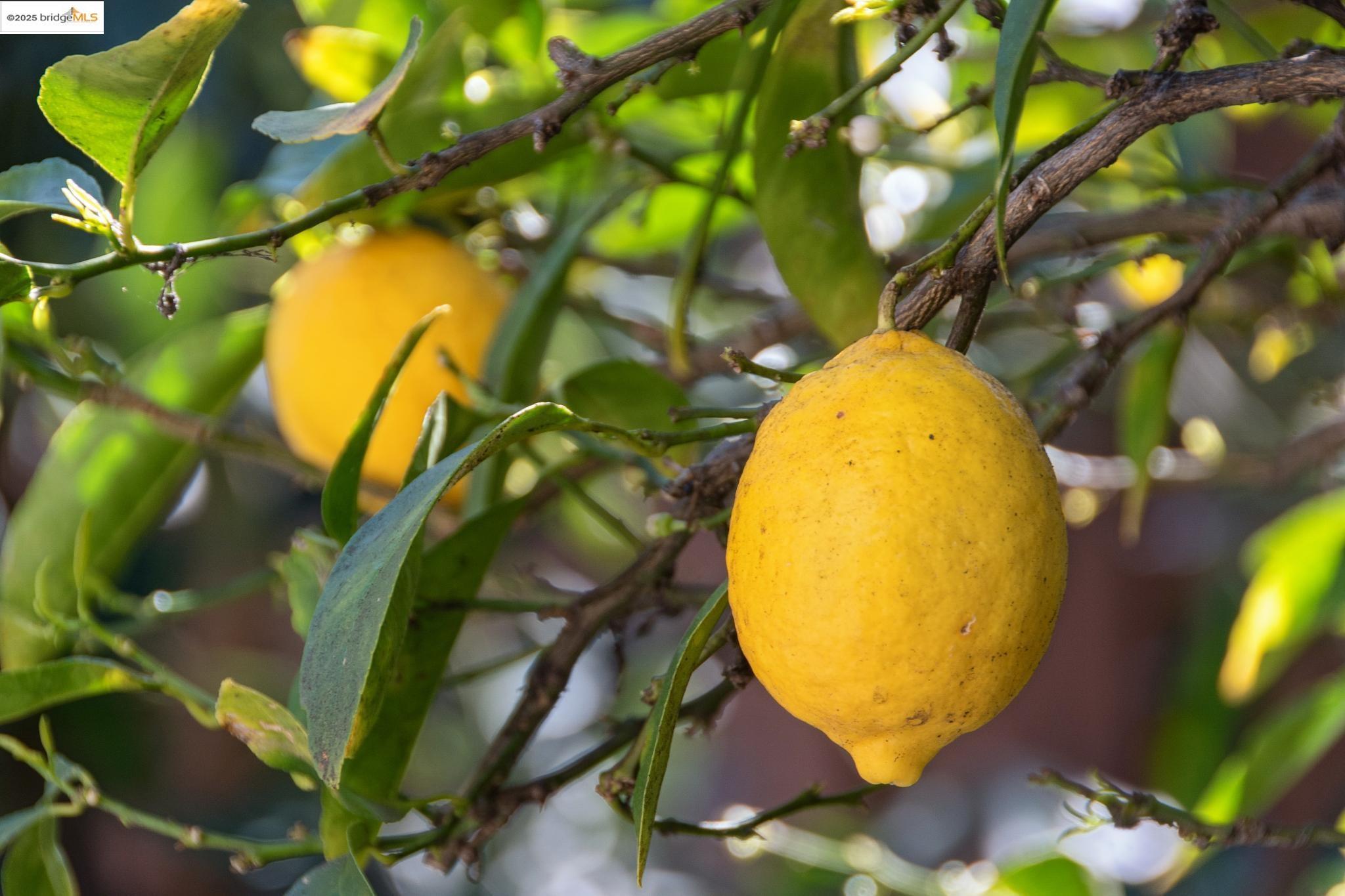 Undisclosed Address San Leandro, CA 94577 - Photo 48 of 50 a view of a swimming pool