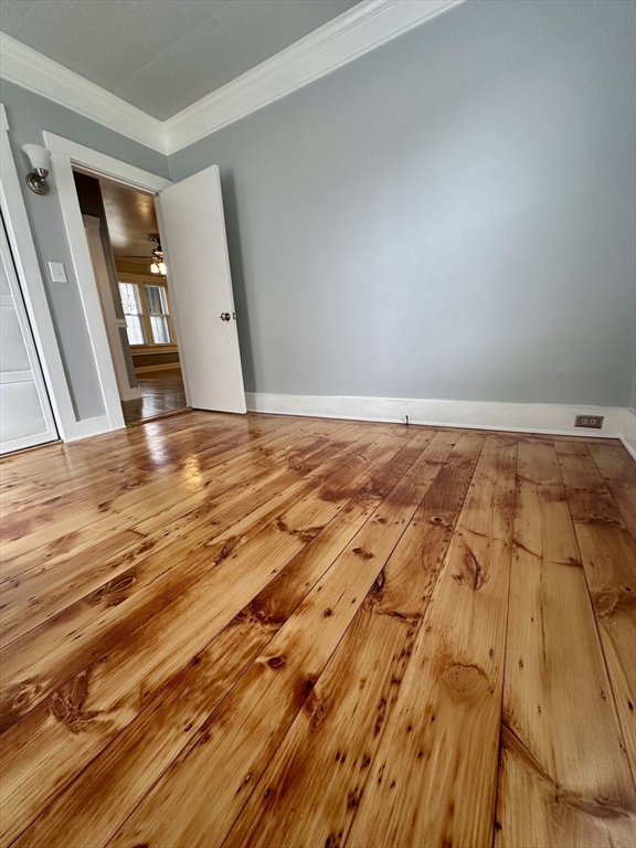 7 Dupont Street, Unit 1L Worcester, MA 01604 - Photo 4 of 15
