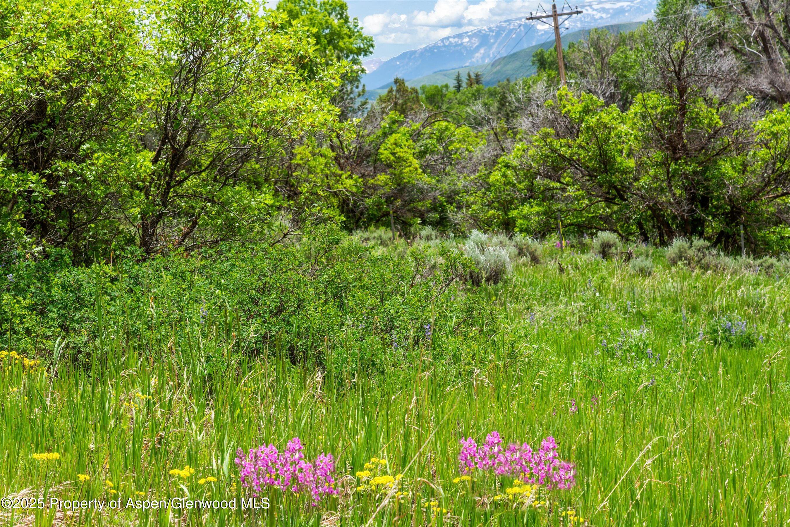 354 Snowmass Creek Road Snowmass, CO 81654 - Photo 8 of 53 10-354SnowmassCreek_250612010