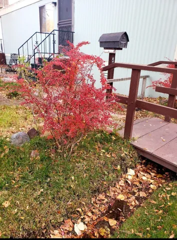 a front view of a house with yard and staircase