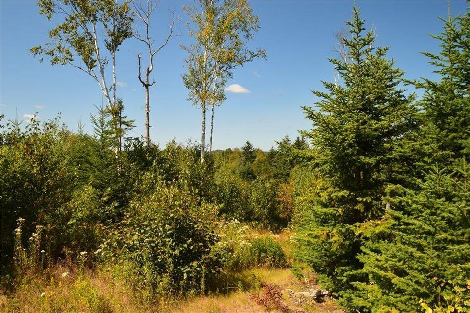M8-l53a North Lubec Road Lubec, ME 04652 - Photo 12 of 37 12