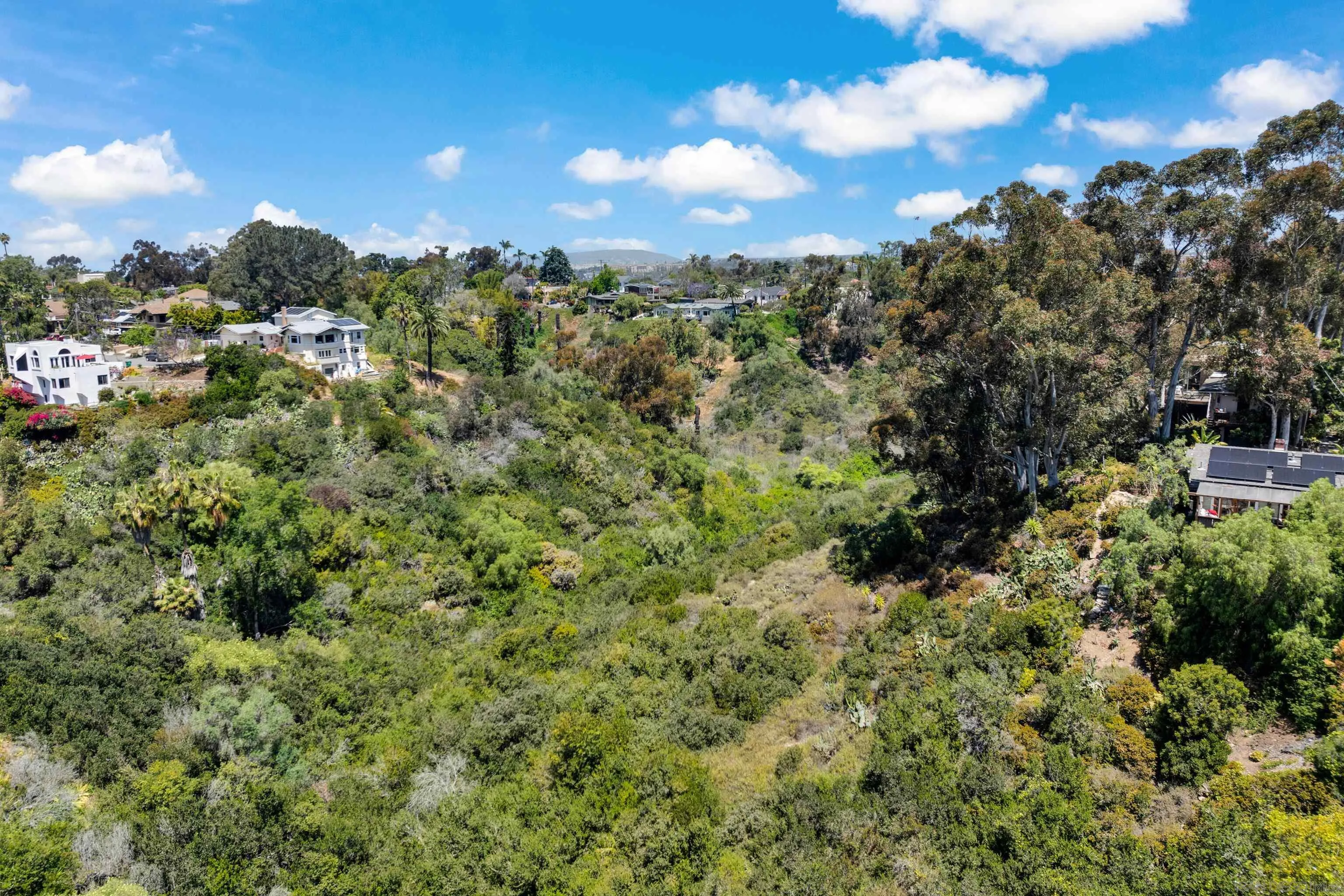 4055 Falcon Street, Unit 102 San Diego, CA 92103 - Photo 35 of 36 a view of a city