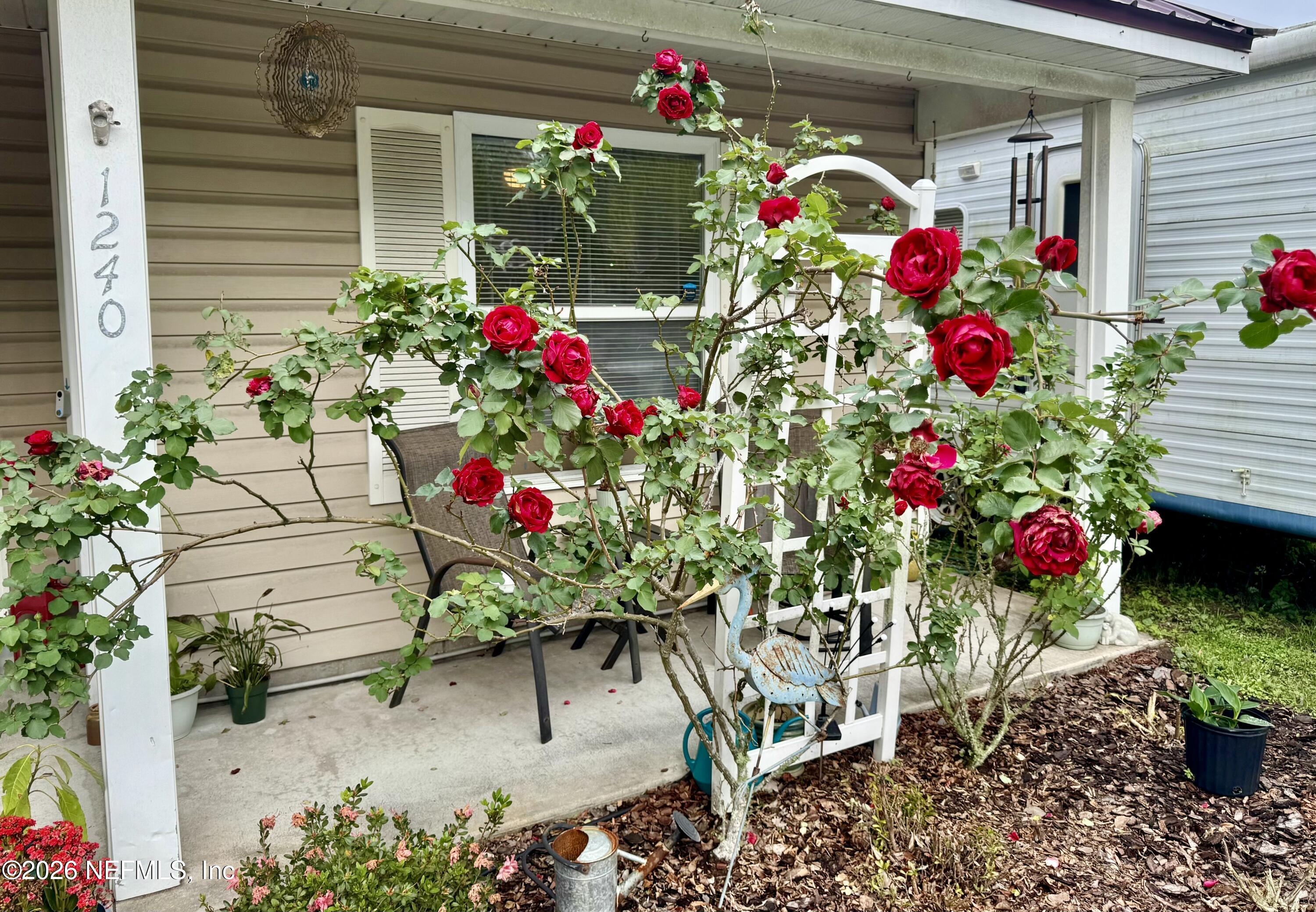 1240 4 Mile Road St. Augustine, FL 32084 - Photo 23 of 27 a flower vase sitting in front of flowers