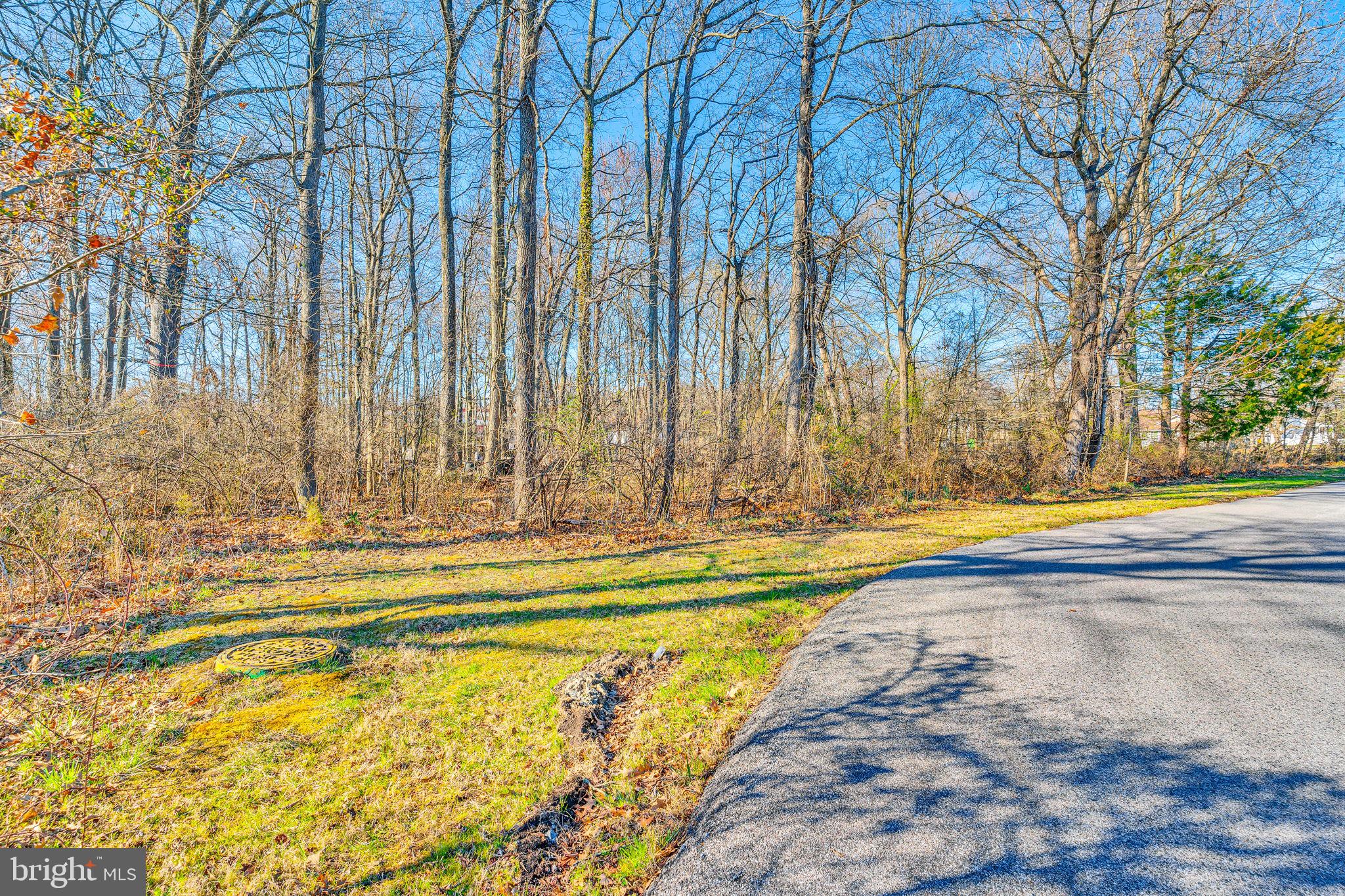 4871 Avery Road Shady Side, MD 20764 - Photo 20 of 20 a view of swimming pool with large trees