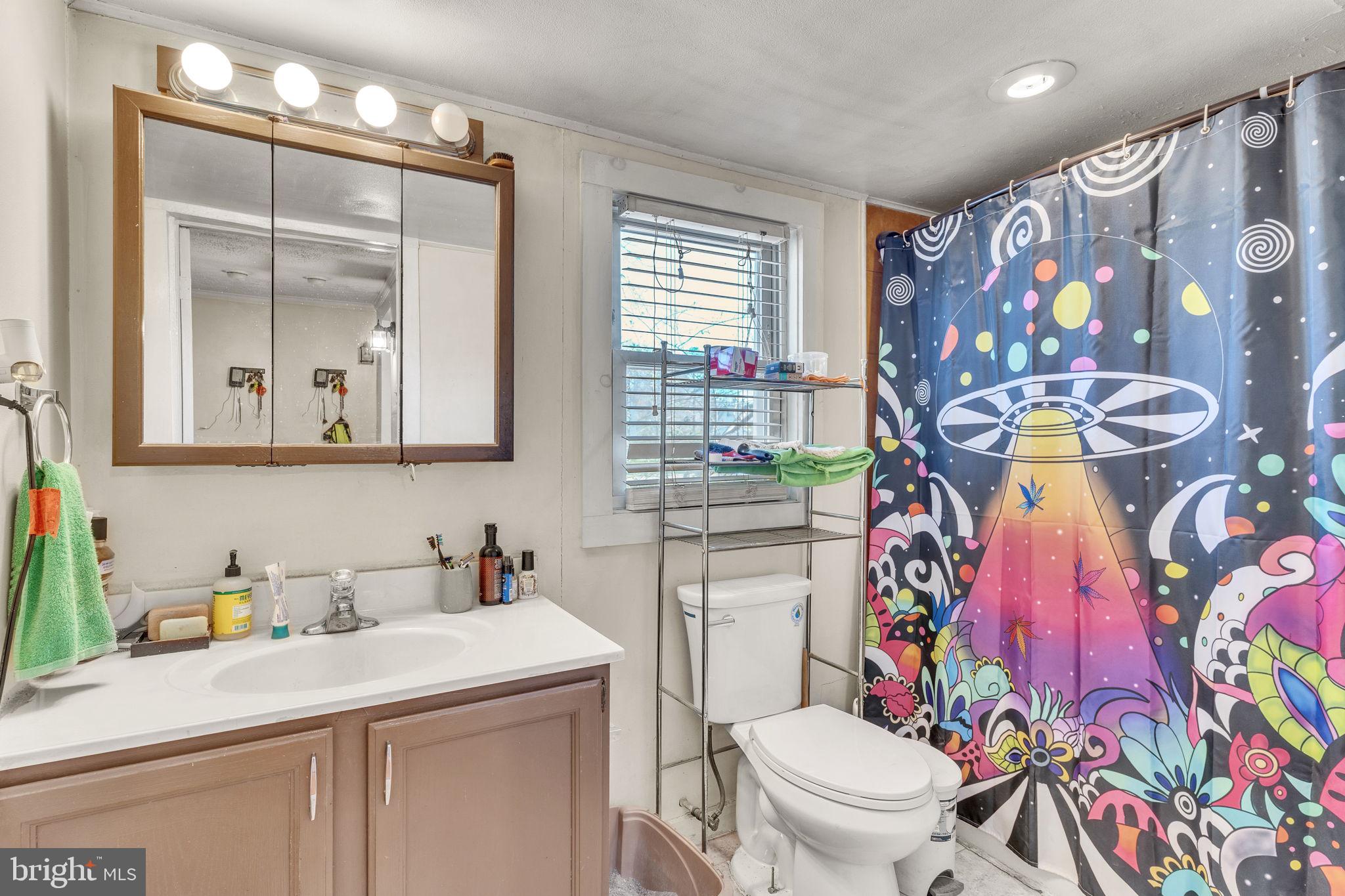 4871 Avery Road Shady Side, MD 20764 - Photo 10 of 20 a bathroom with a sink vanity mirror and toilet