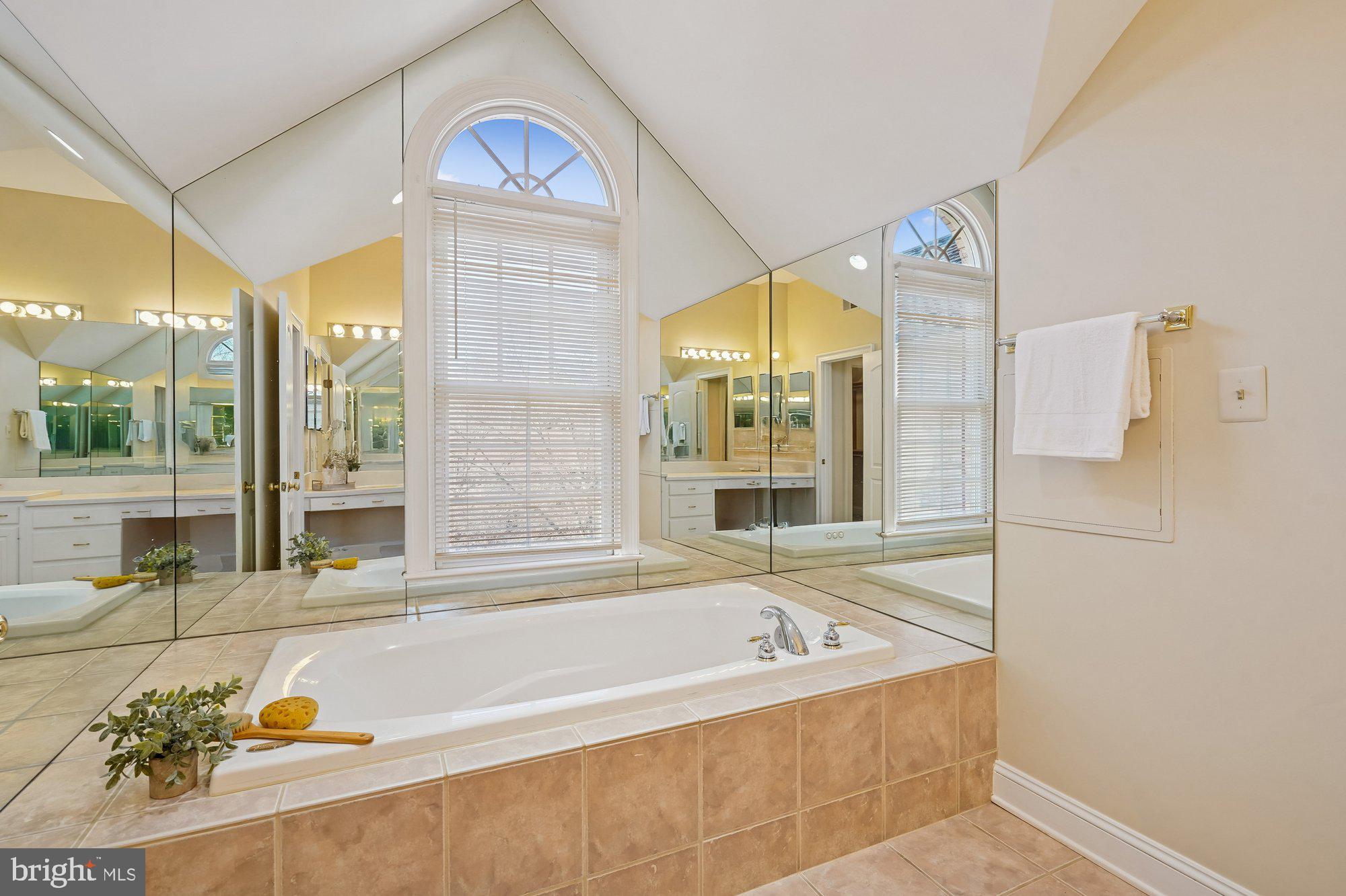 7917 Springer Road Bethesda, MD 20817 - Photo 33 of 70 Primary Bath Jetted spa