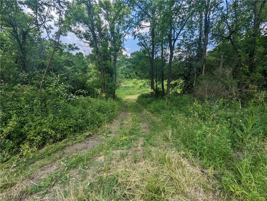 22 Township Road Cadiz, OH 43907 - Photo 2 of 35 Gallery Image 2