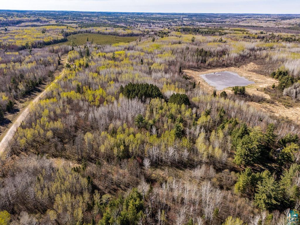 Tbd Crane Lake Road Orr, MN 55771 - Photo 6 of 30