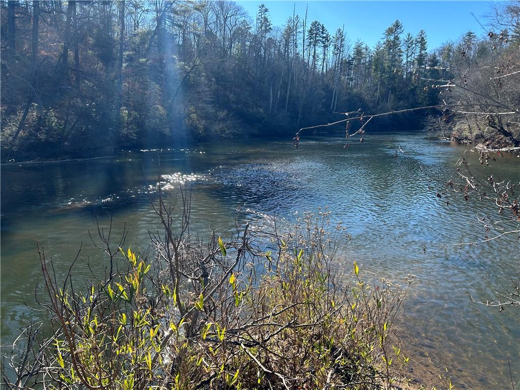 0 Twin River Orchard Road Demorest, GA 30535 - Photo 26 of 63