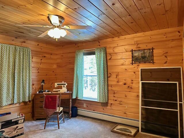 48 Spaulding Road Stratton, ME 04982 - Photo 13 of 29 tempImageSMLI4b