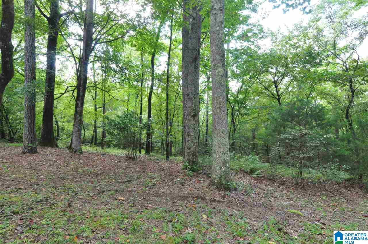 78 Harris Lane Alabaster, AL 35114 - Photo 20 of 30