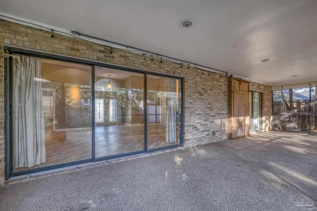 a view of a yard with plants and trees