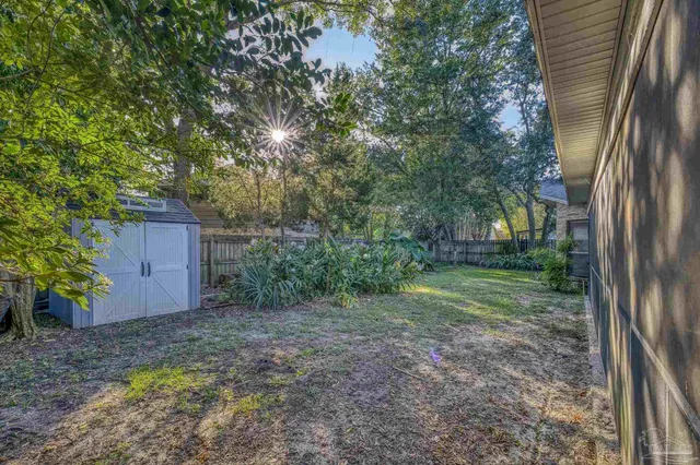 a view of a backyard with plants and large trees