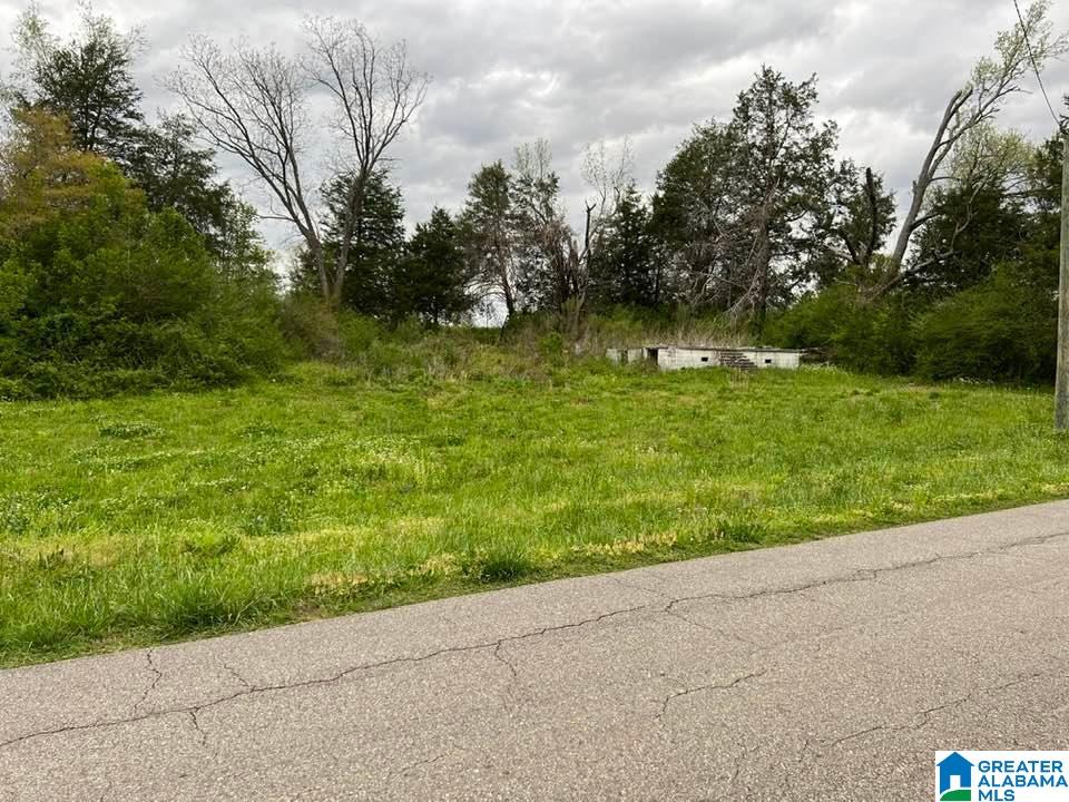 650 Peaceful Valley Road Eastaboga, AL 36260 - Photo 3 of 5