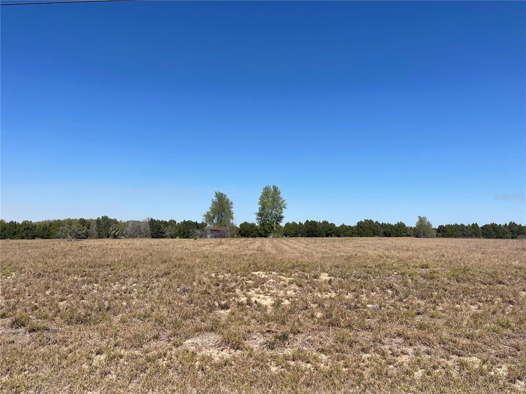 9 Hammock Grove Road Groveland, FL 34736 - Photo 1 of 1 Gallery Image 1