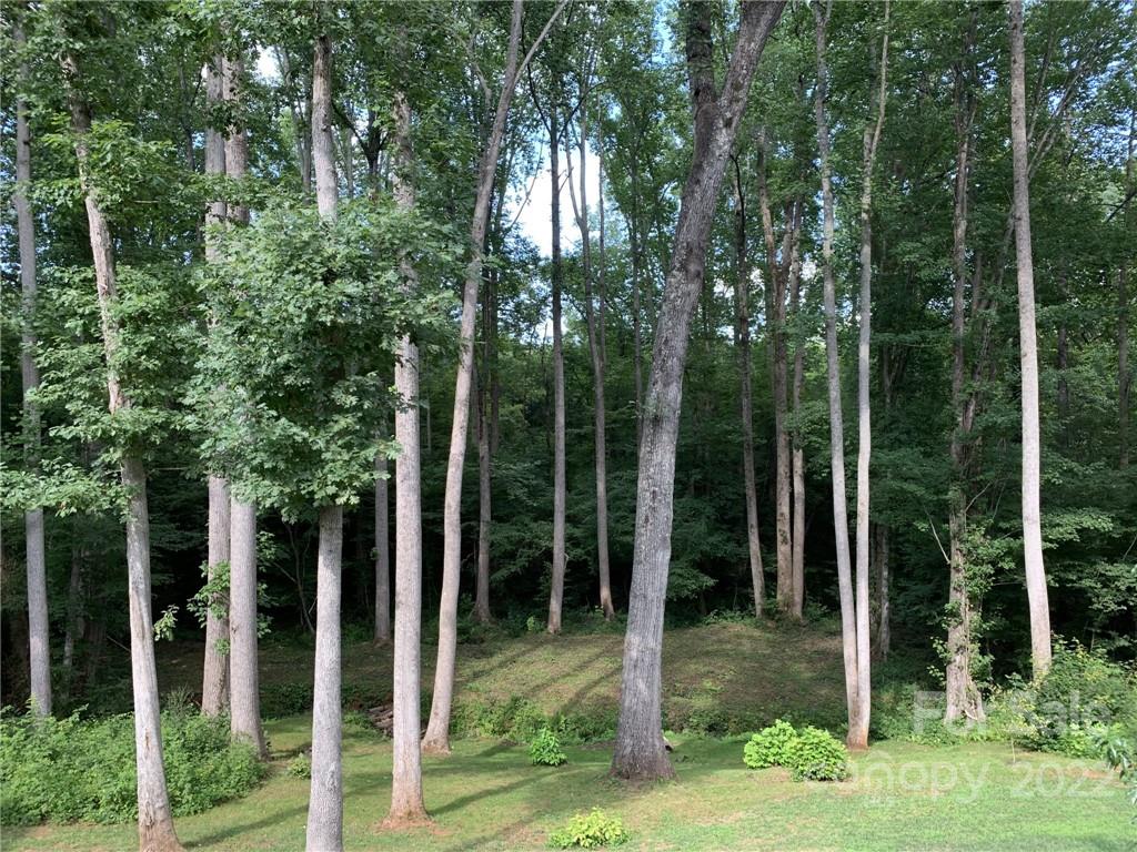 162 Gold Run Rutherfordton, NC 28139 - Photo 25 of 26 a view of backyard with green space and deck