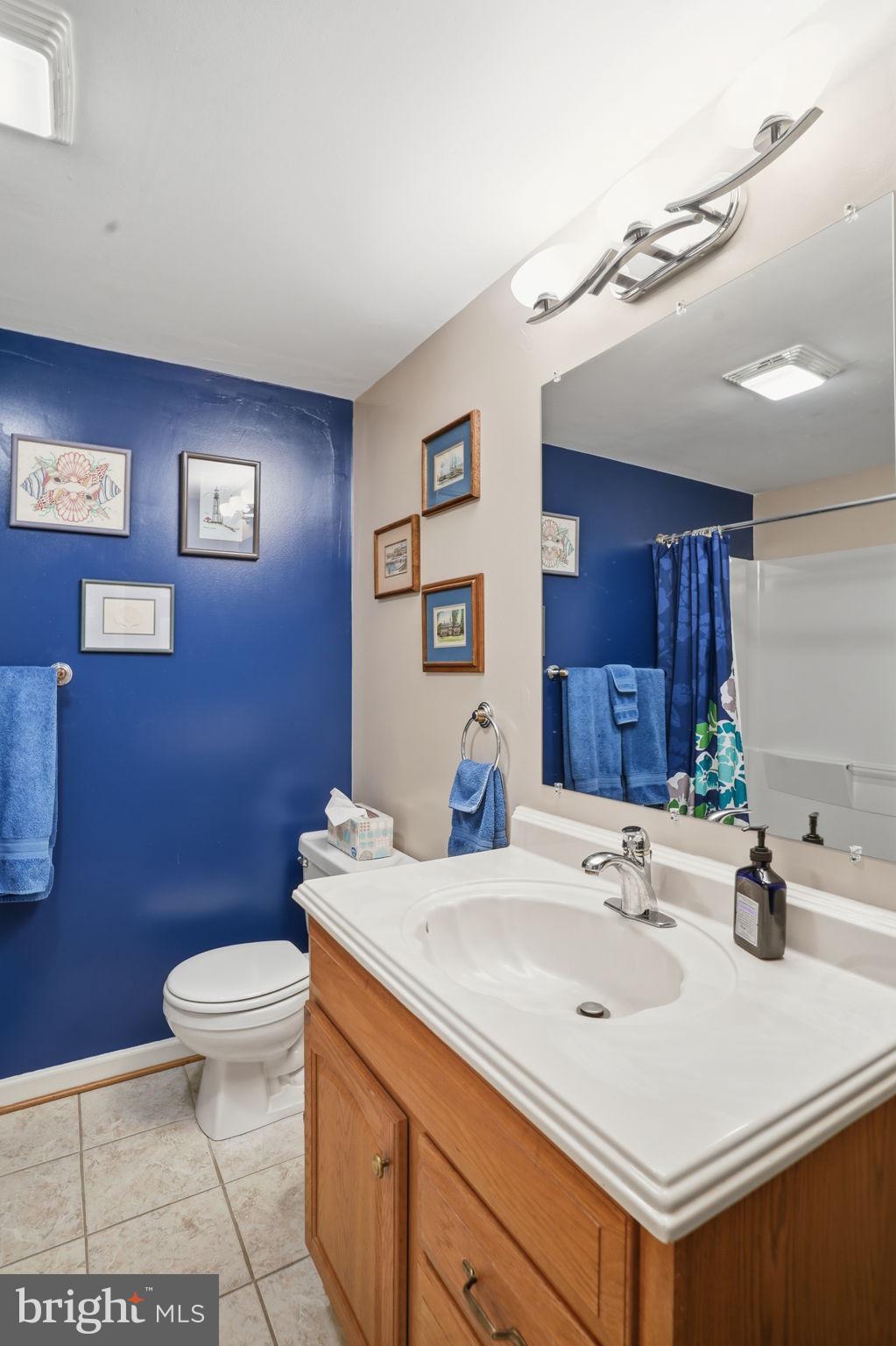 1311 Treasure Drive Odenton, MD 21113 - Photo 30 of 35 a bathroom with a sink toilet and shower