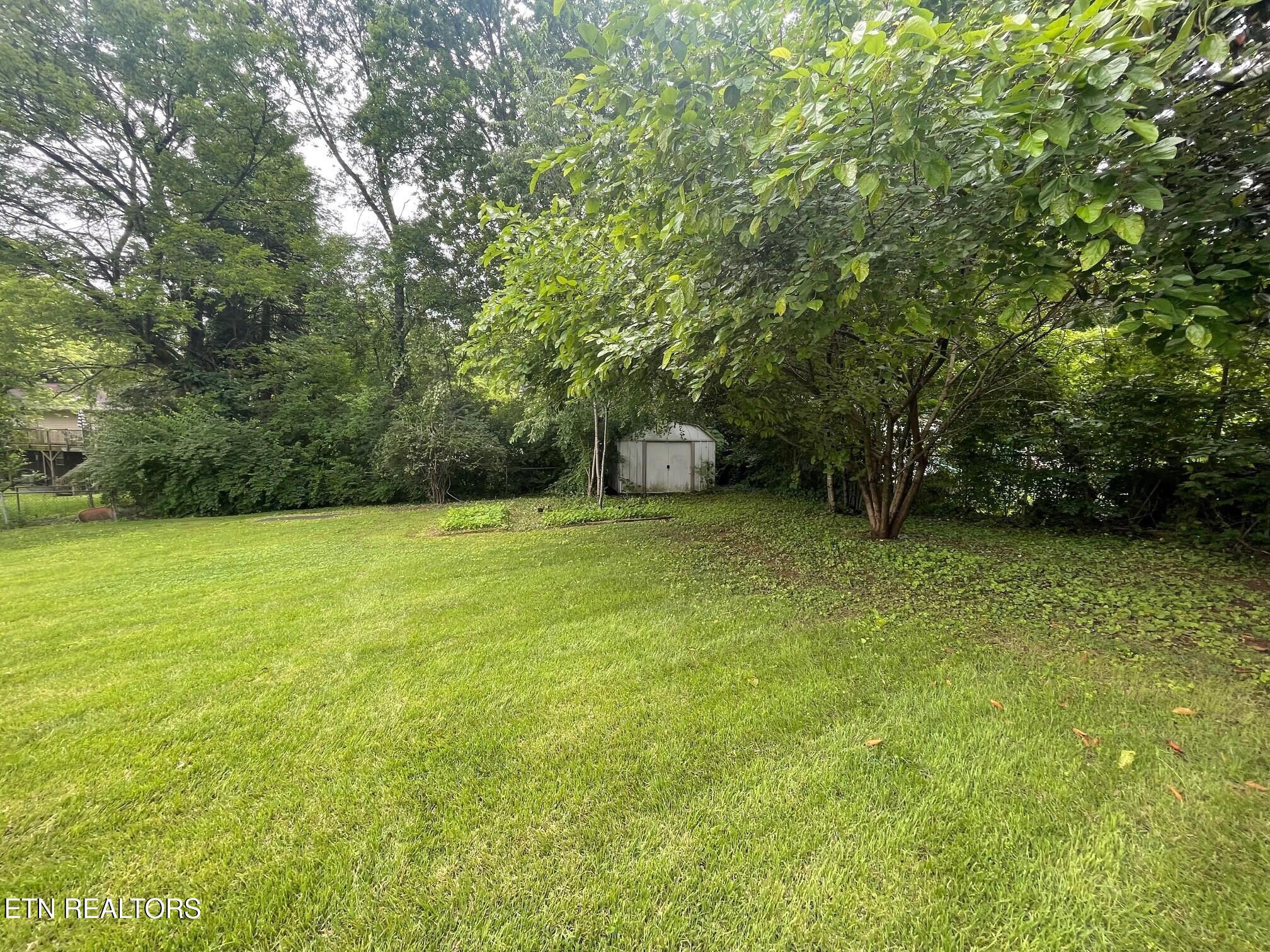 217 Newport Road, Unit 5 Knoxville, TN 37934 - Photo 4 of 18 217 Newport Rd Backyard