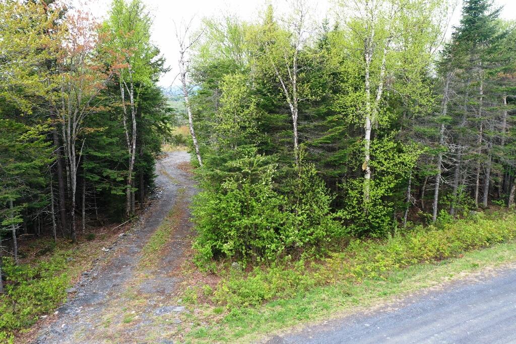 Lot 7 Alpine Ridge Greenville, ME 04441 - Photo 9 of 14 DJI_0358