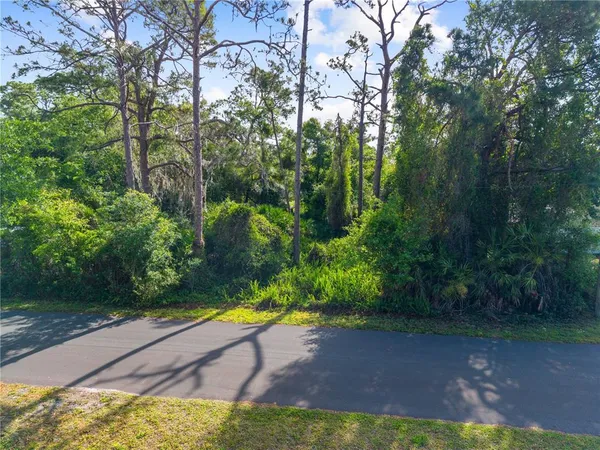 $80,000 | Burton Dr Street, St. Cloud, FL 34771