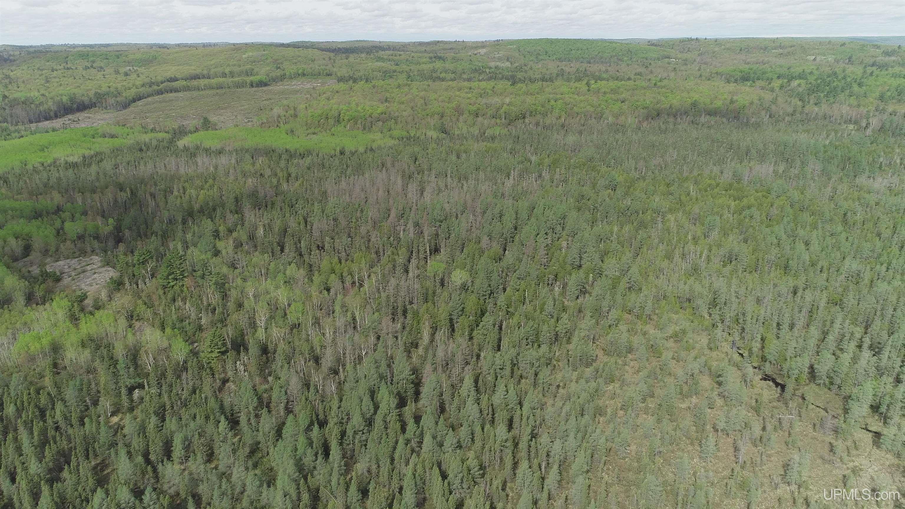 280-acres County Road CCN Road Negaunee, MI 49866 - Photo 33 of 48