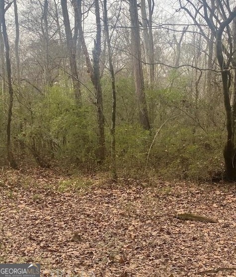 0 Jack Pittman Road Monroe, GA 30019 - Photo 11 of 12