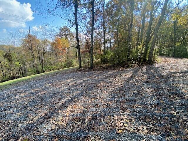 755 Galbraith Road Brooksville, KY 41004 - Photo 4 of 4