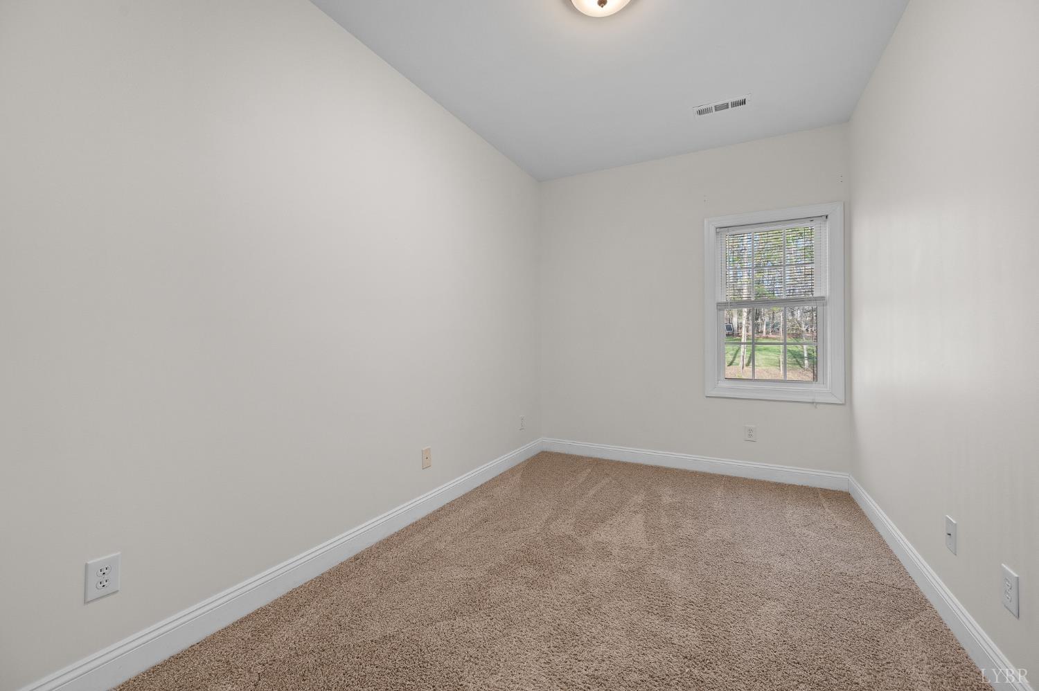 1089 Howards Scenic Trail Forest, VA 24551 - Photo 35 of 96