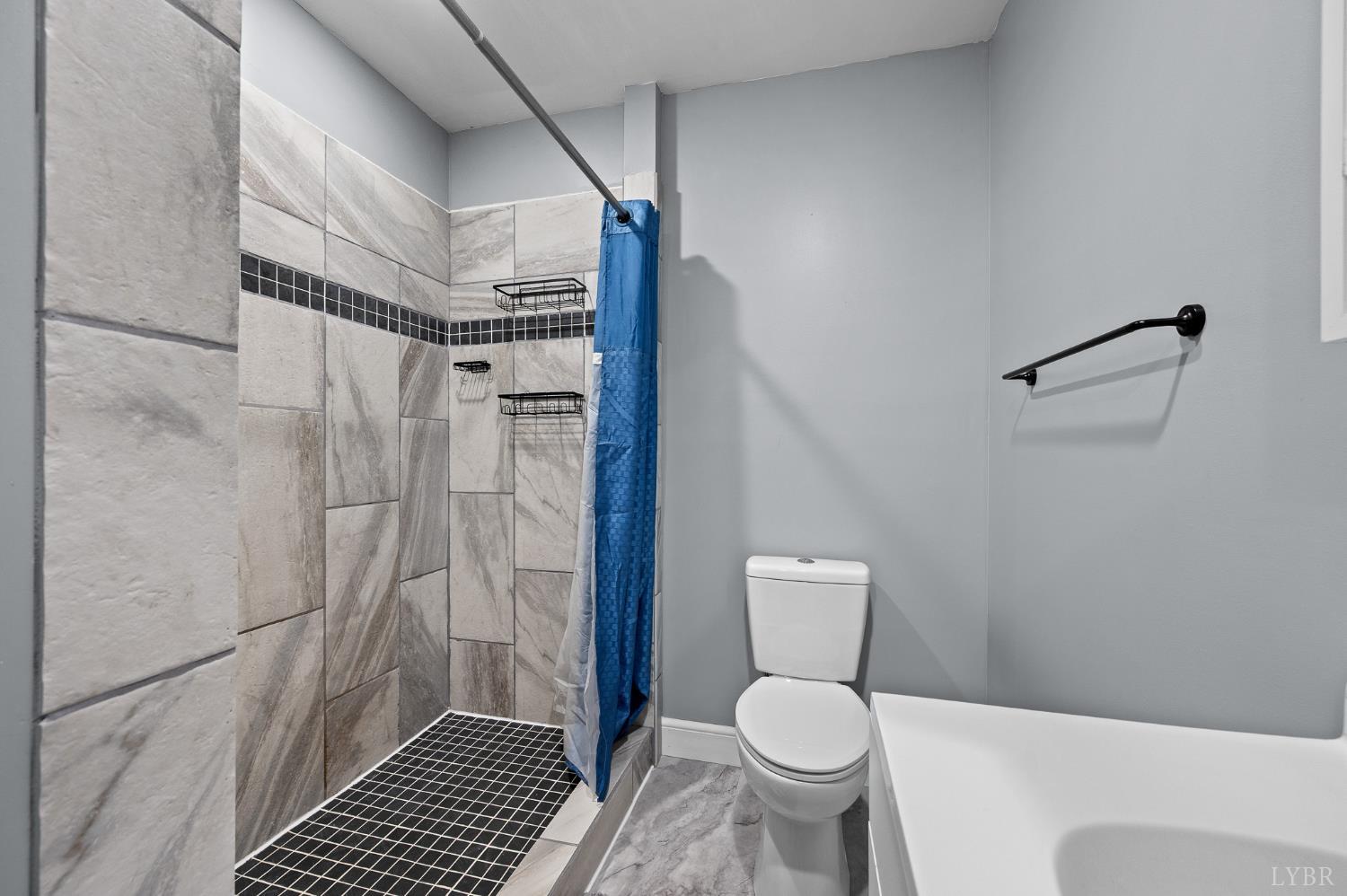 1089 Howards Scenic Trail Forest, VA 24551 - Photo 57 of 96 a bathroom with a toilet and a shower
